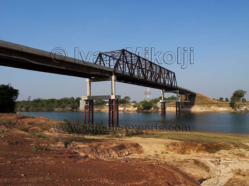 puente sobre el rio cinaruco